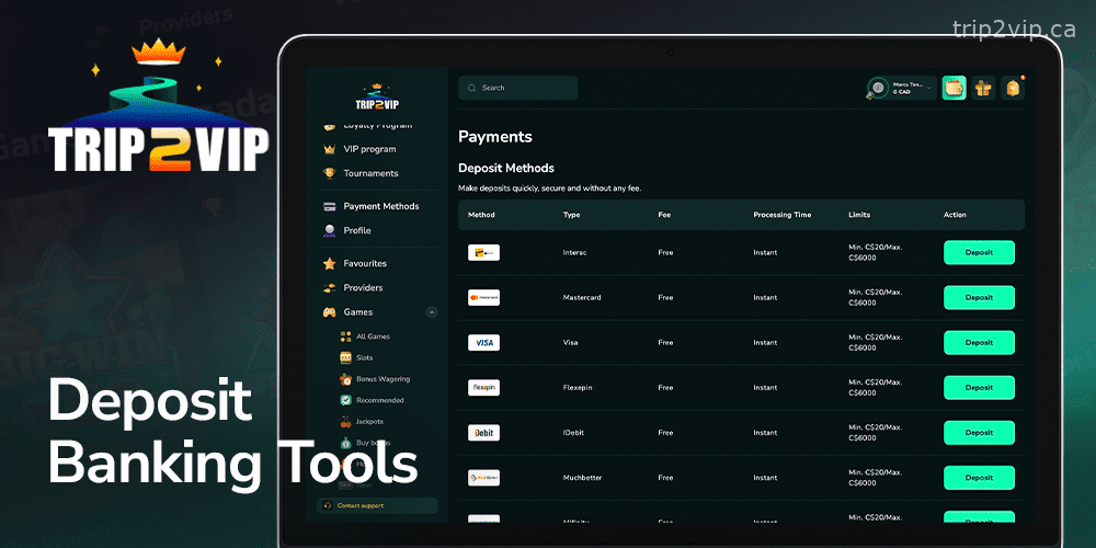 Payment systems available on the Trip2Vip website