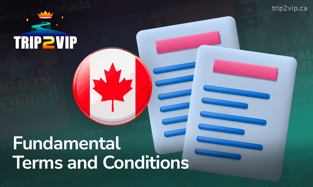 Basic rules for players at Trip2VIP Canada